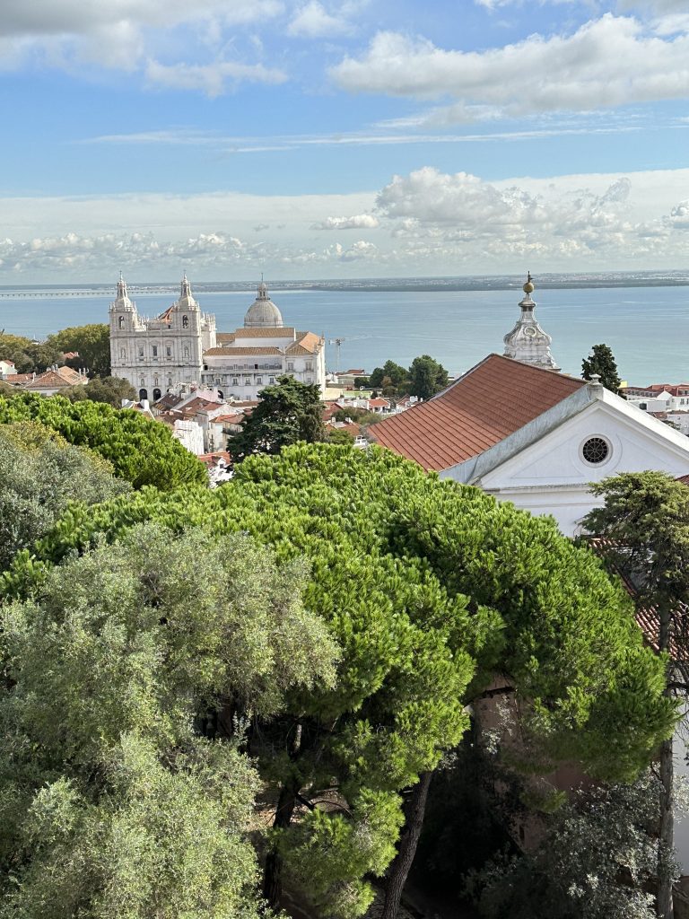 Vue château São Jorge