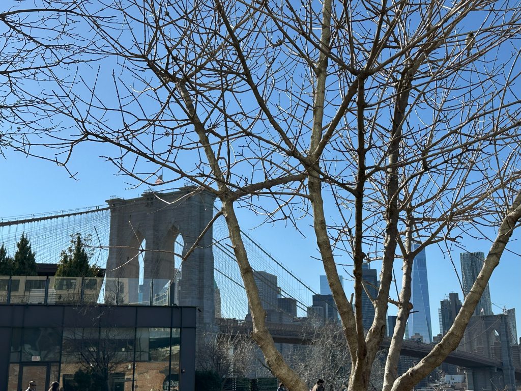 New York